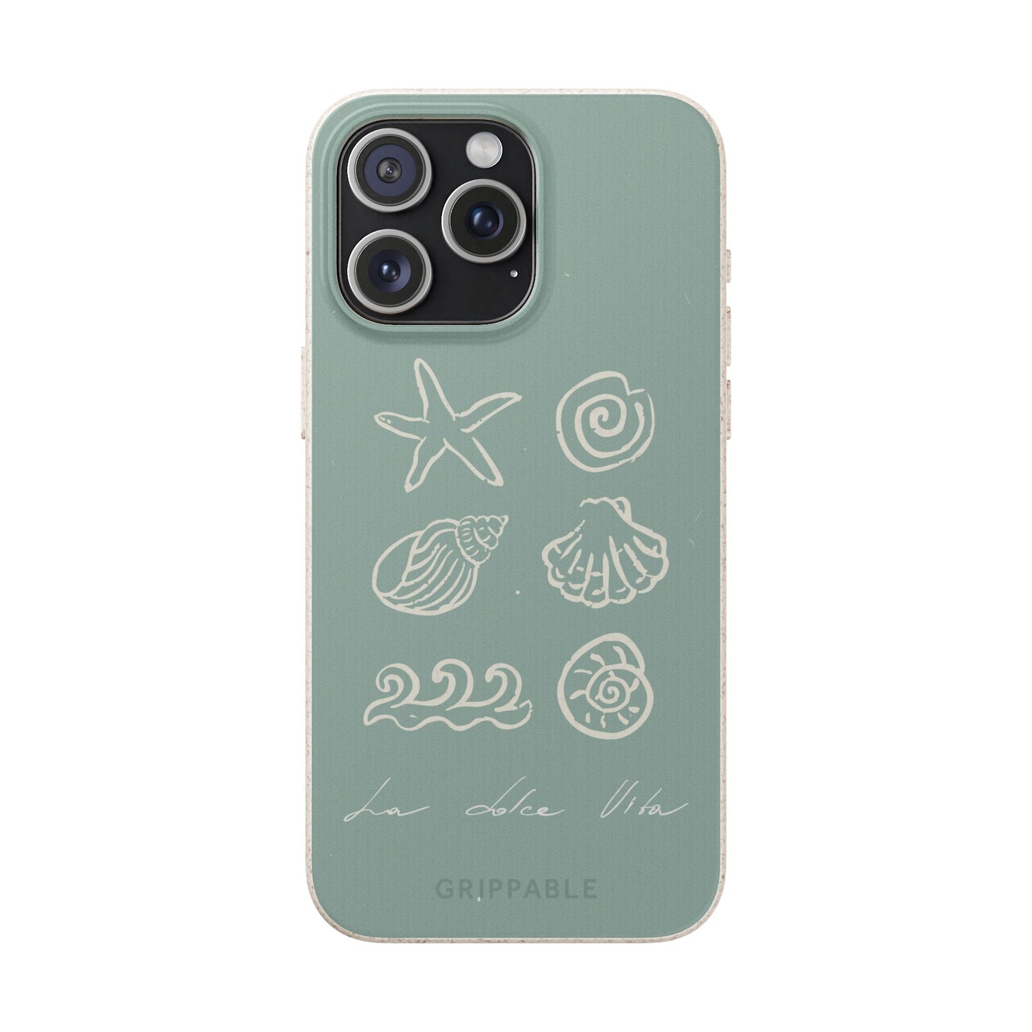 Sea Shell | Biodegradable