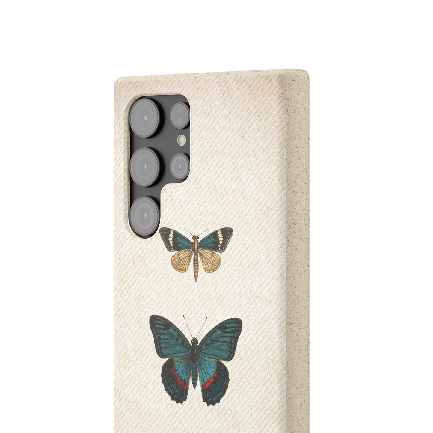 Butterfly | Biodegradable