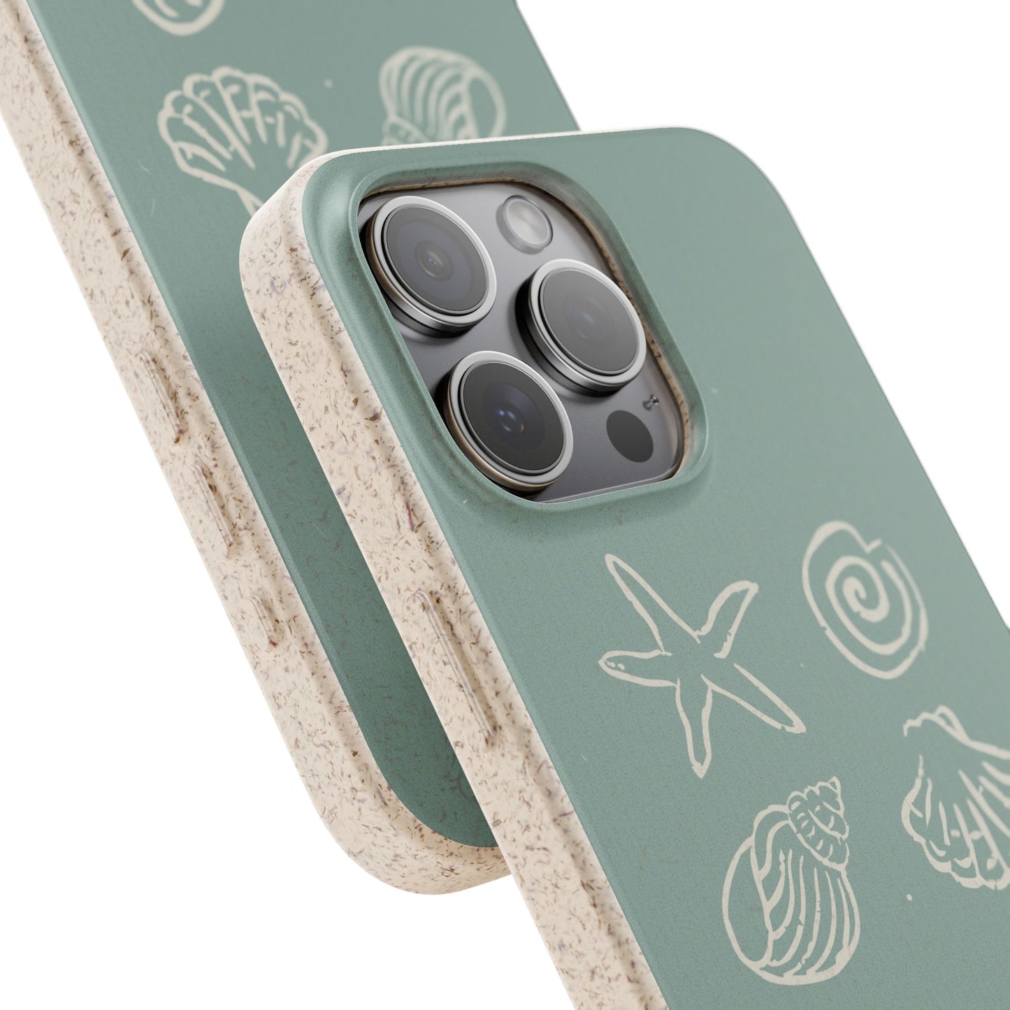 Sea Shell | Biodegradable