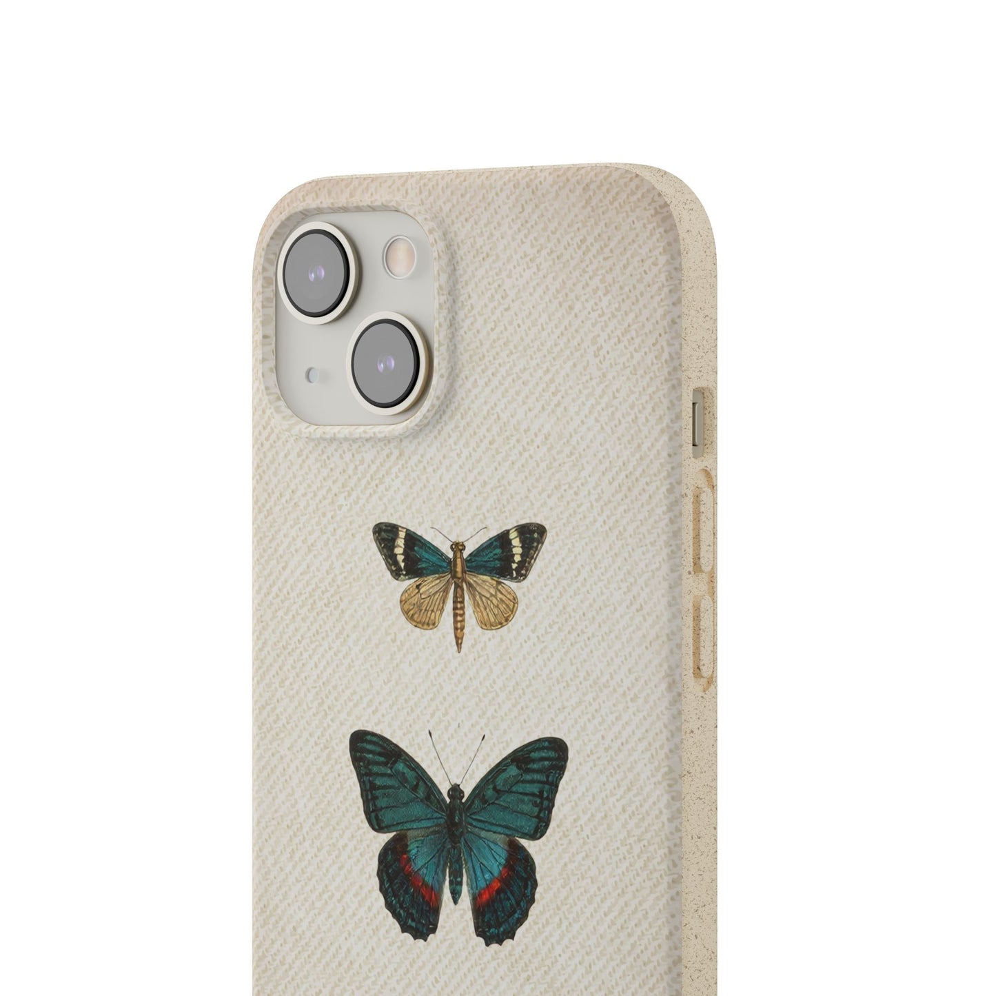 Butterfly | Biodegradable