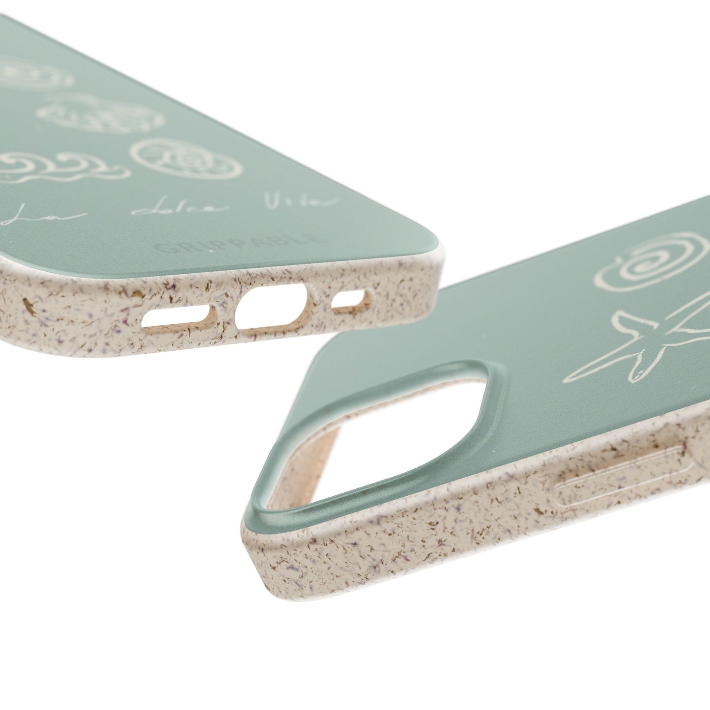 Sea Shell | Biodegradable