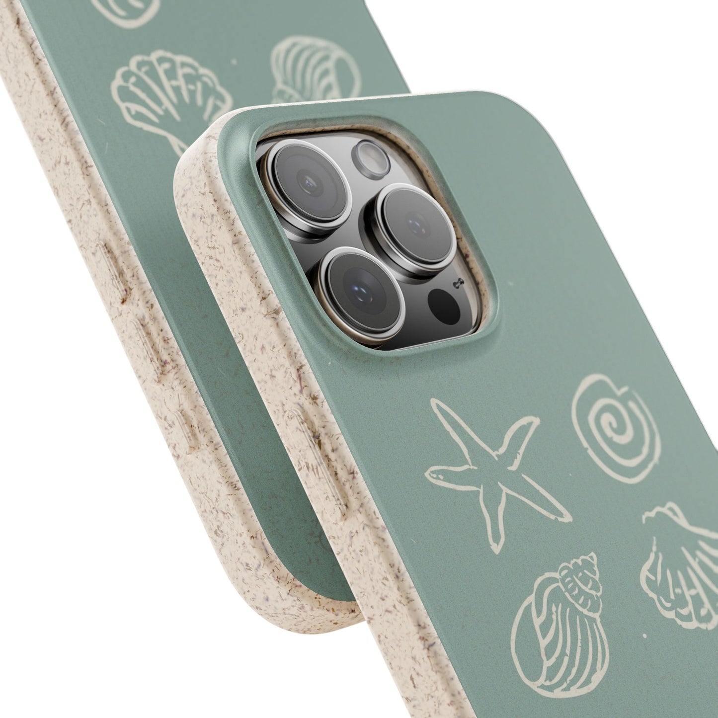 Sea Shell | Biodegradable