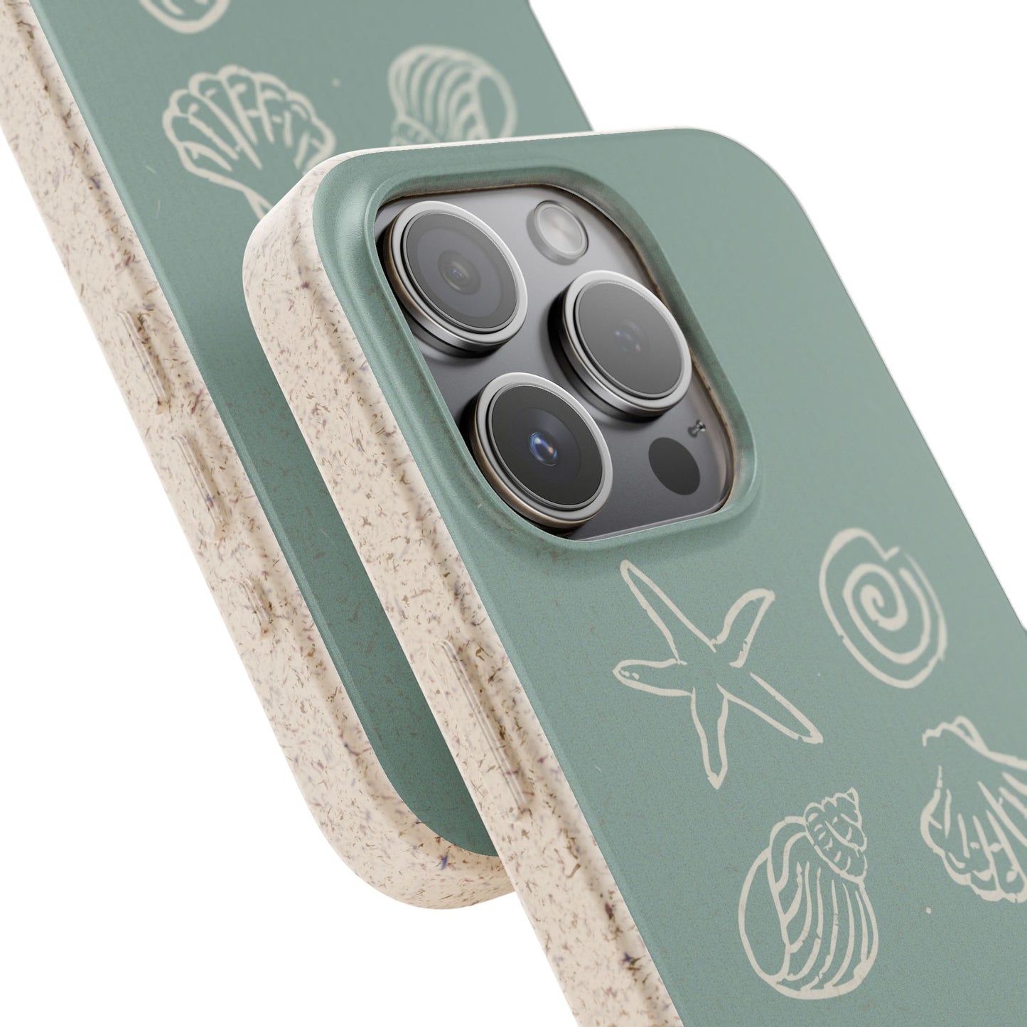 Sea Shell | Biodegradable