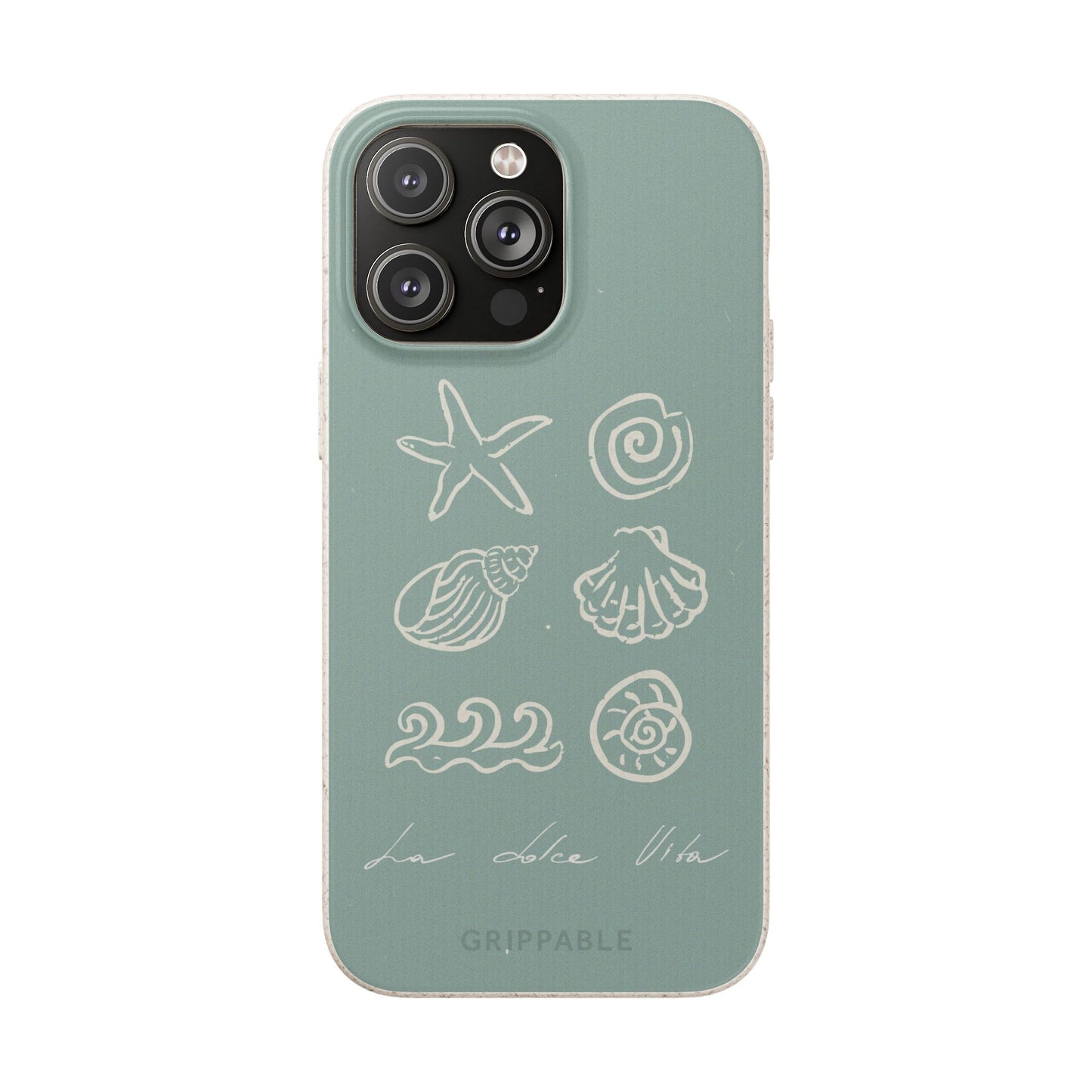 Sea Shell | Biodegradable