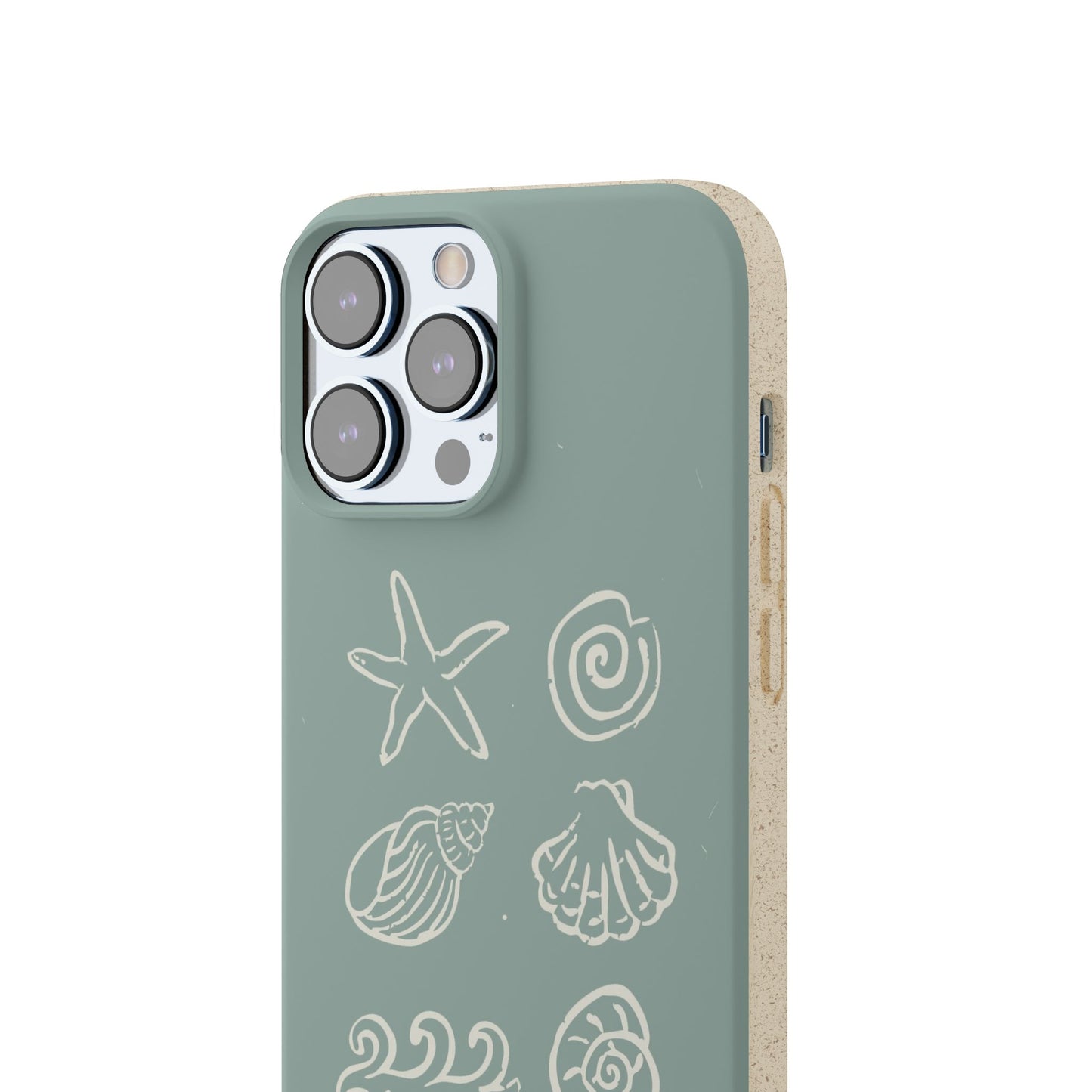 Sea Shell | Biodegradable