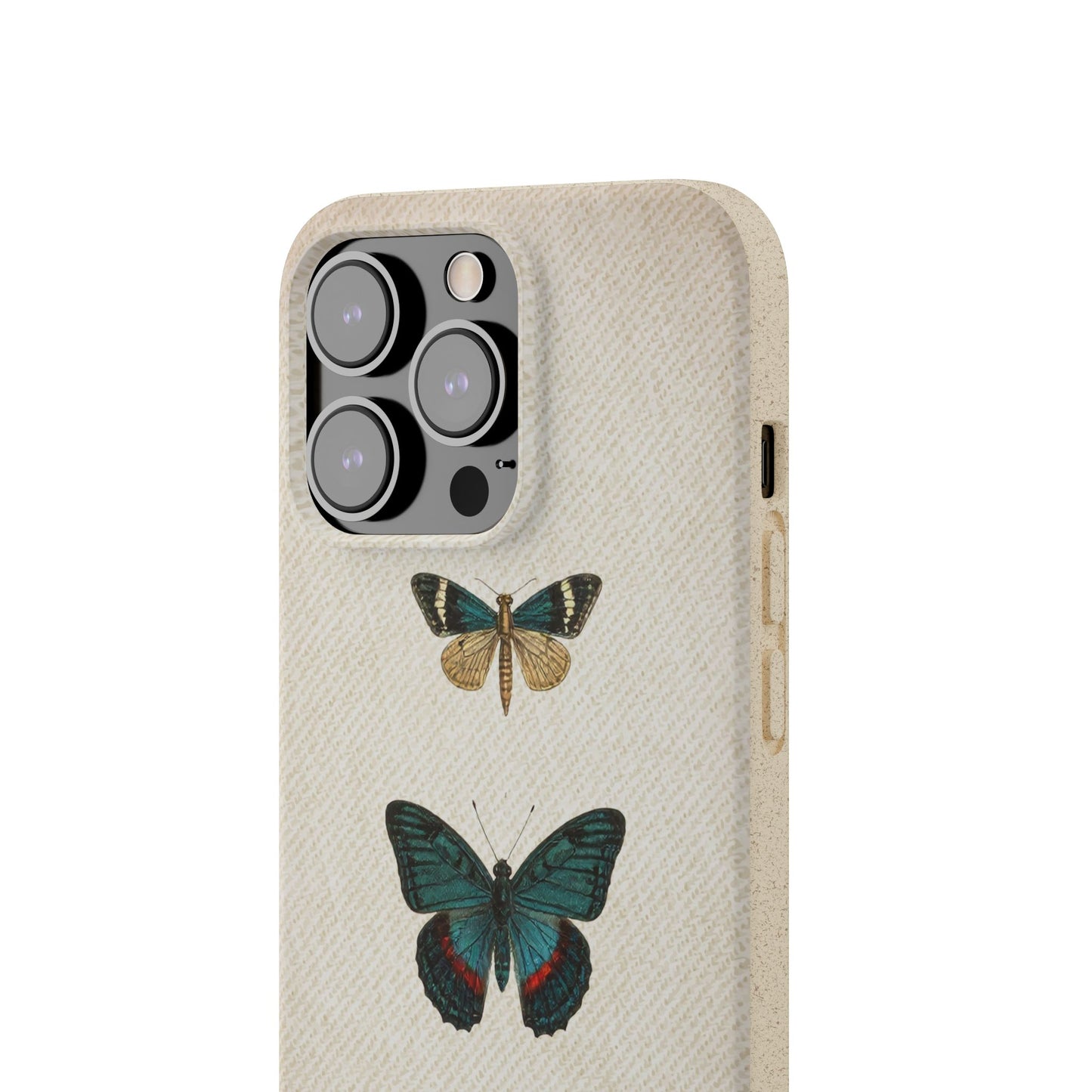 Butterfly | Biodegradable