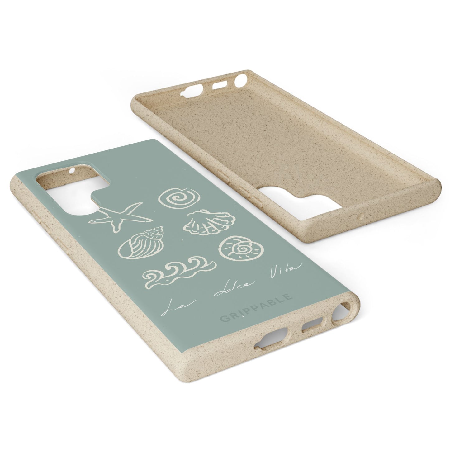 Sea Shell | Biodegradable