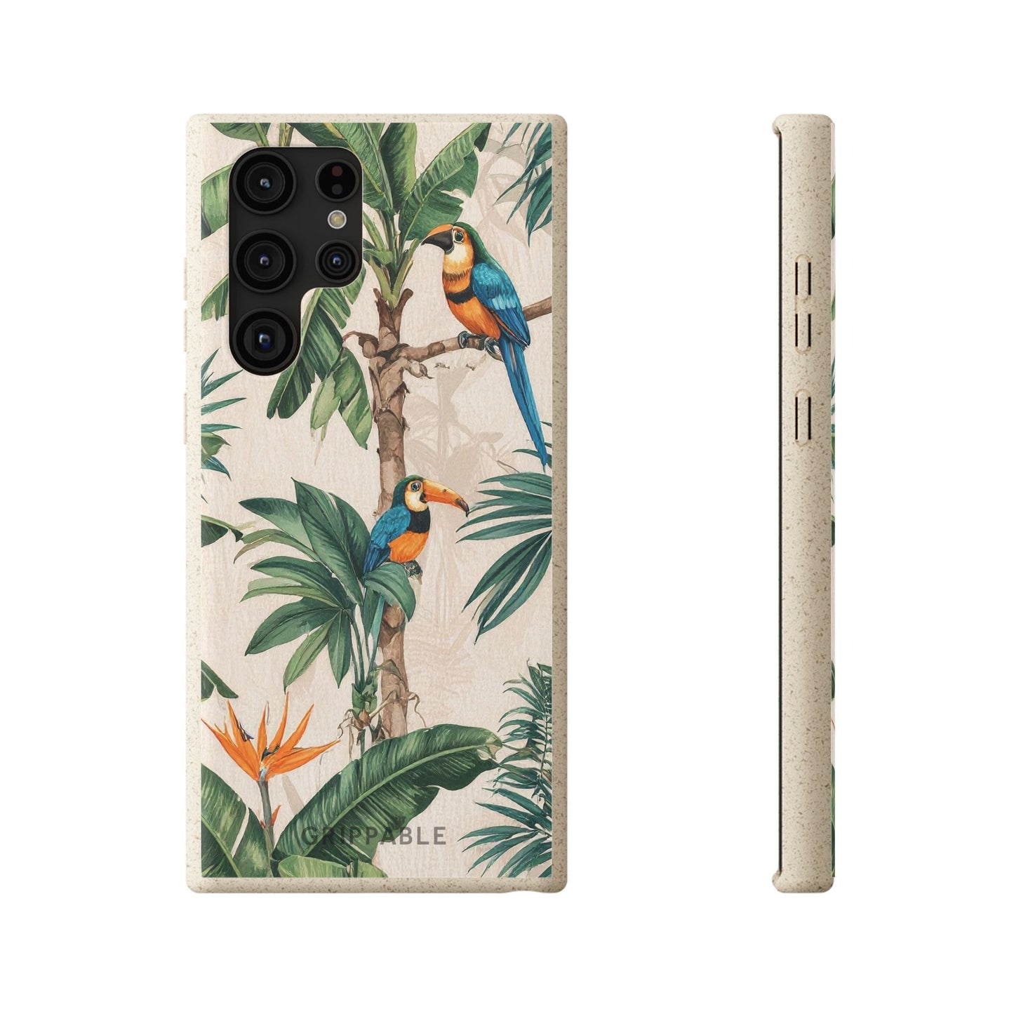 Parrots | Biodegradable