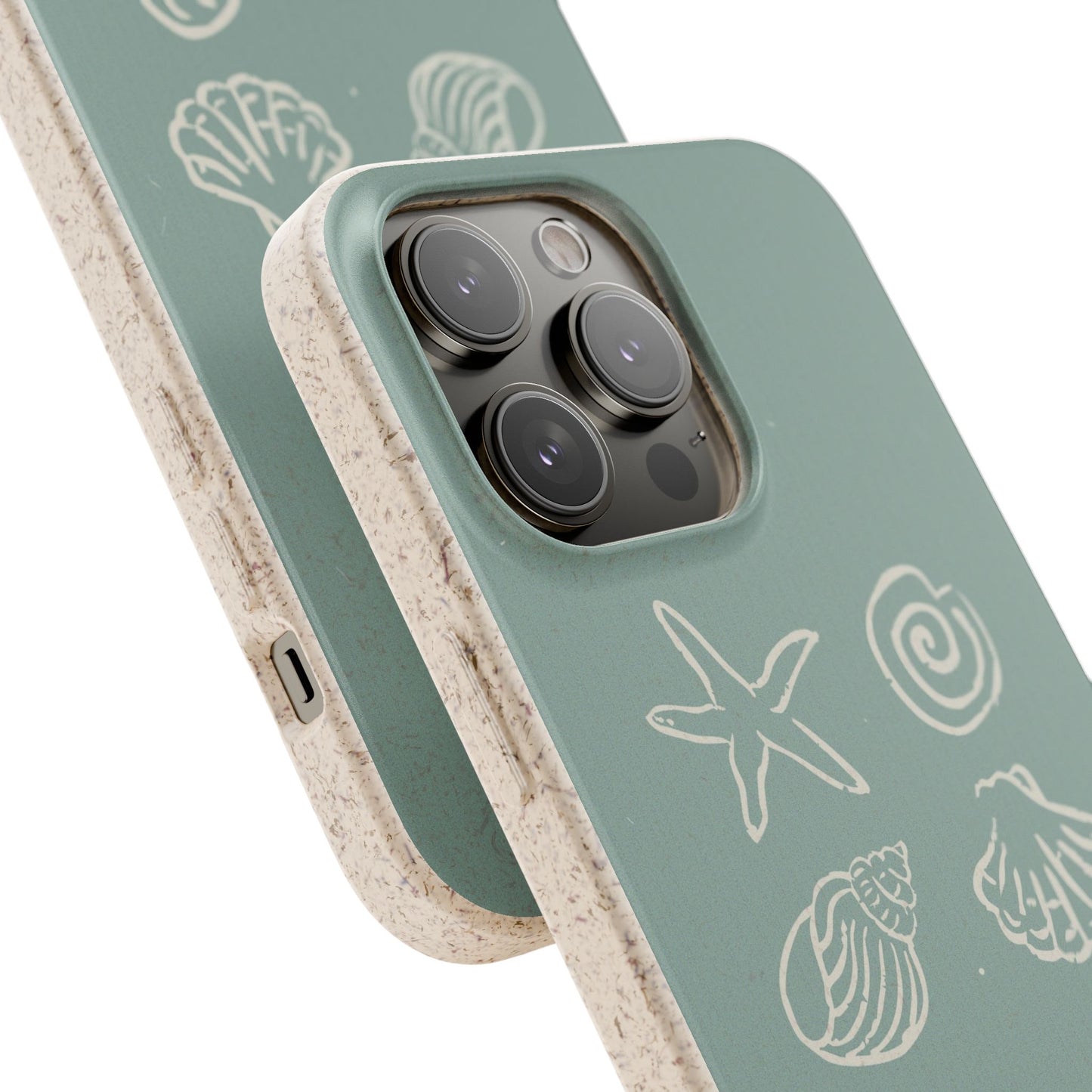 Sea Shell | Biodegradable