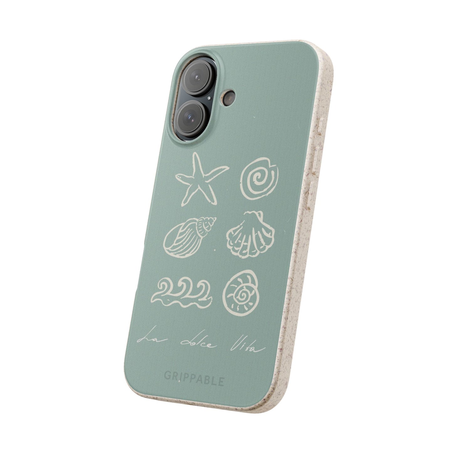 Sea Shell | Biodegradable