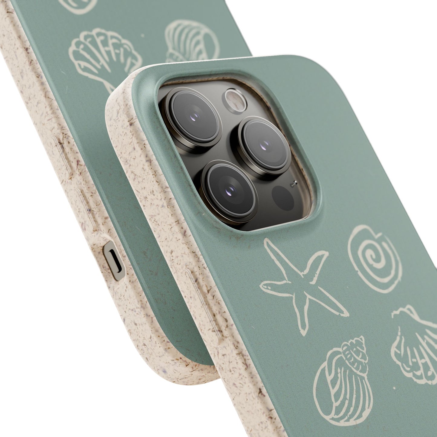Sea Shell | Biodegradable