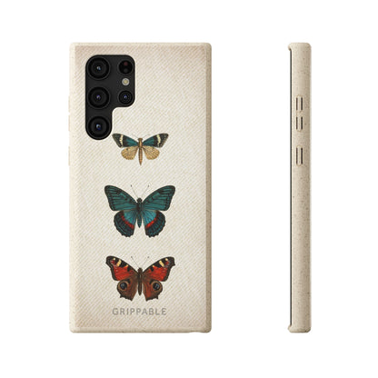 Butterfly | Biodegradable