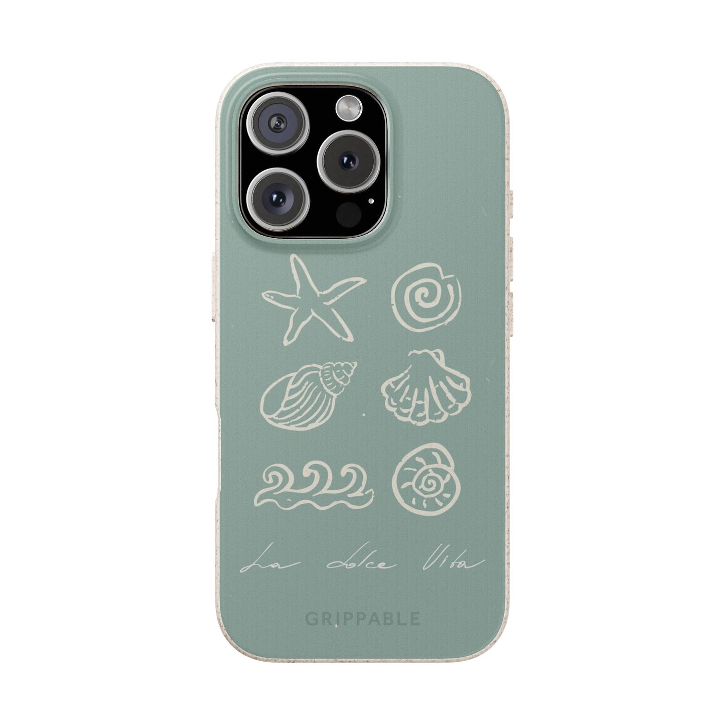 Sea Shell | Biodegradable