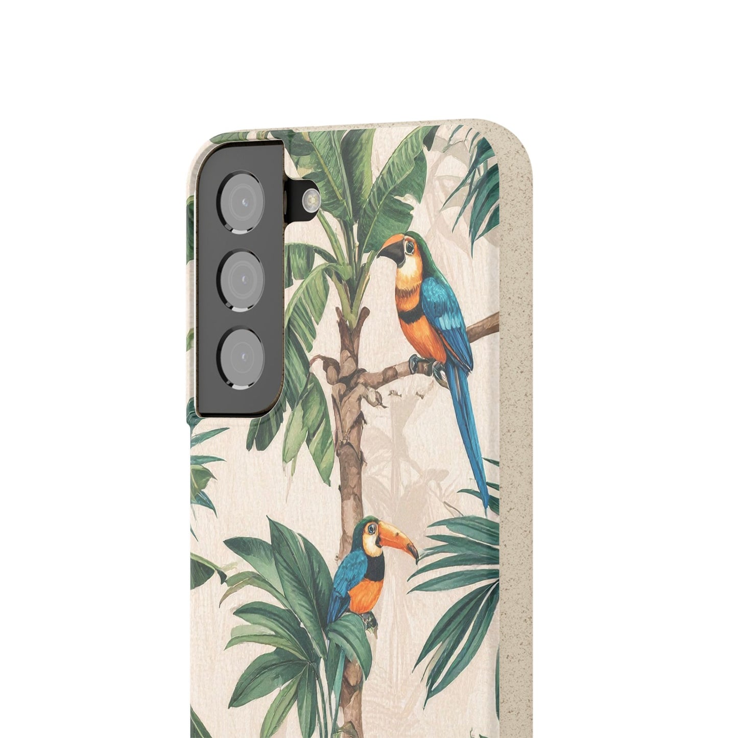 Parrots | Biodegradable