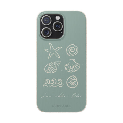 Sea Shell | Biodegradable