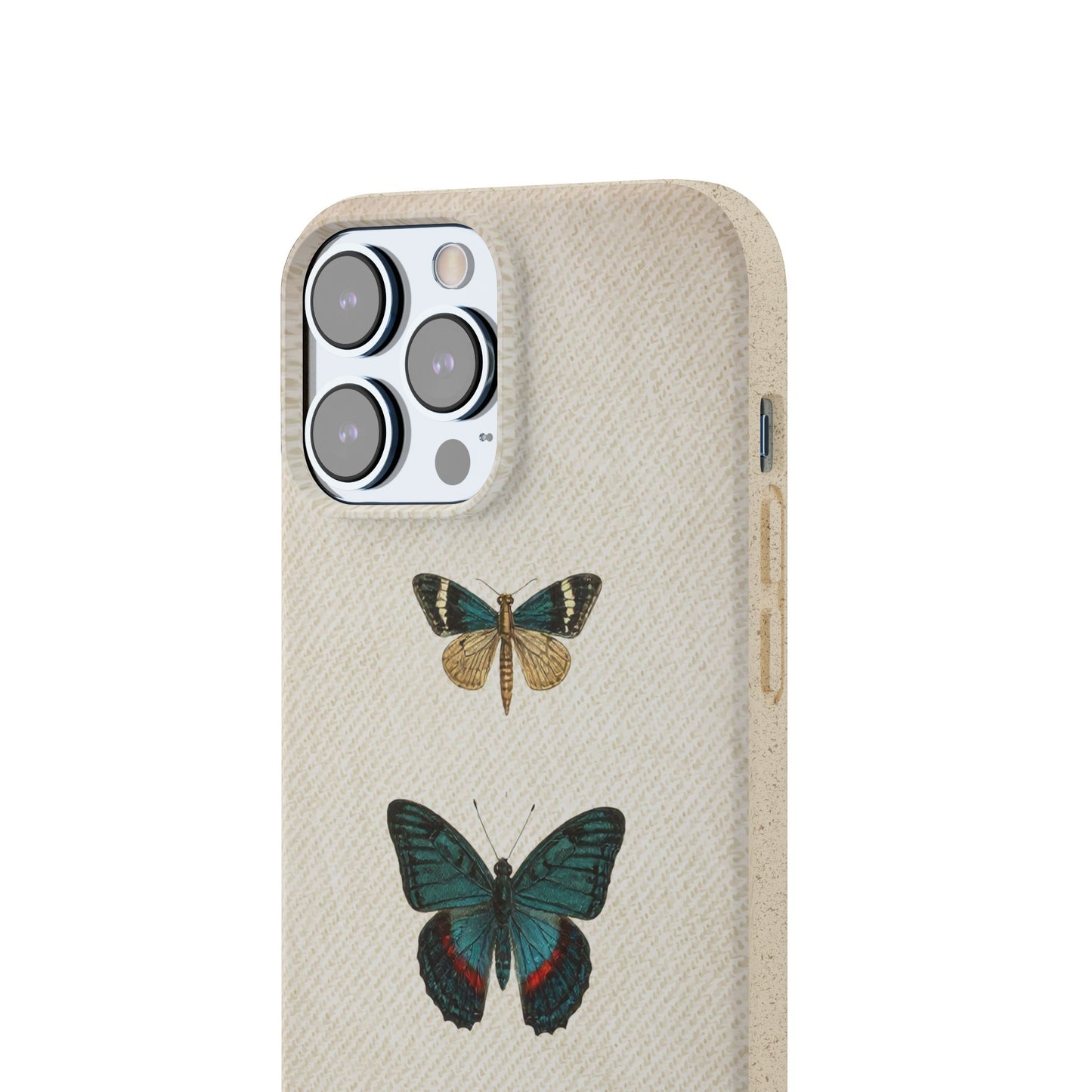 Butterfly | Biodegradable
