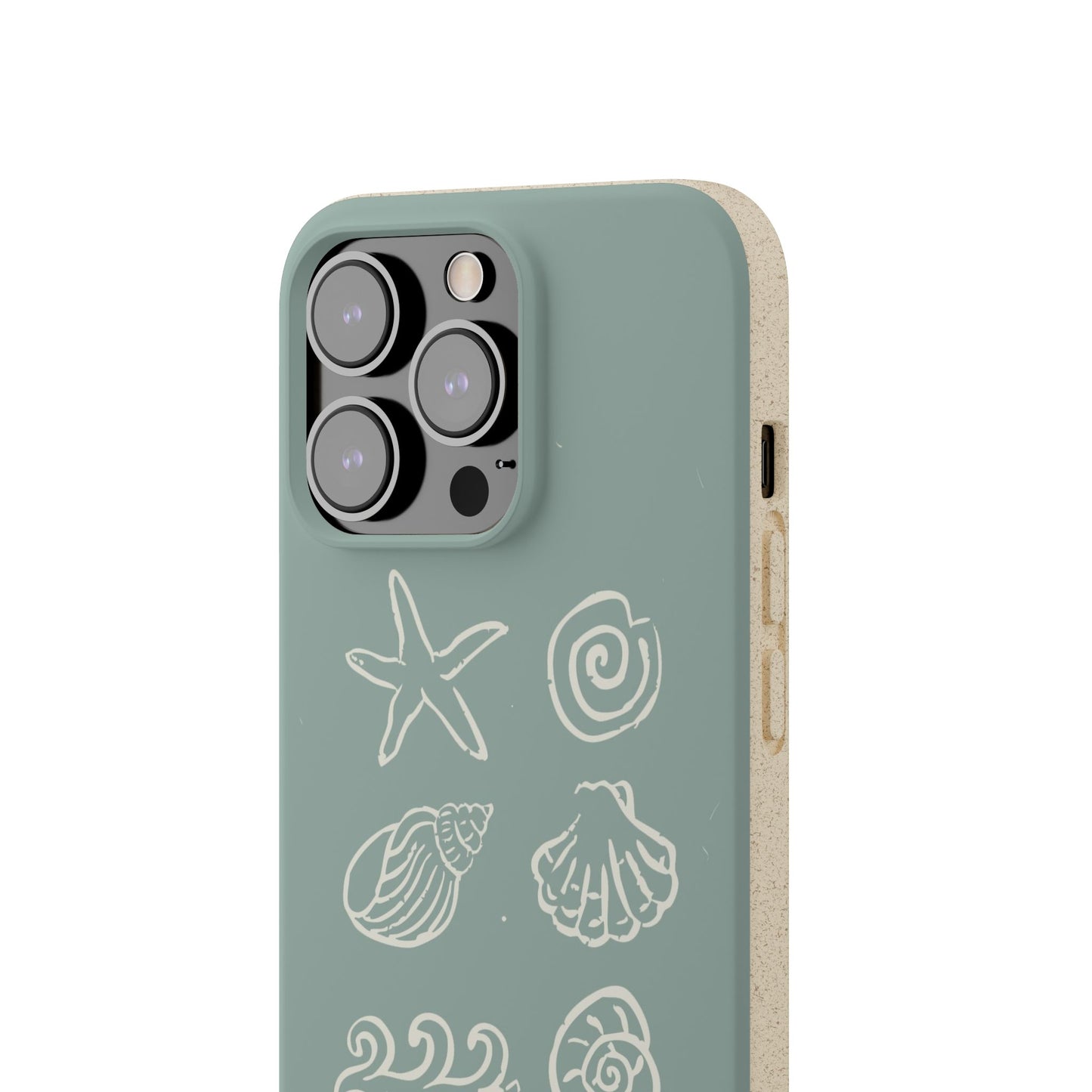 Sea Shell | Biodegradable
