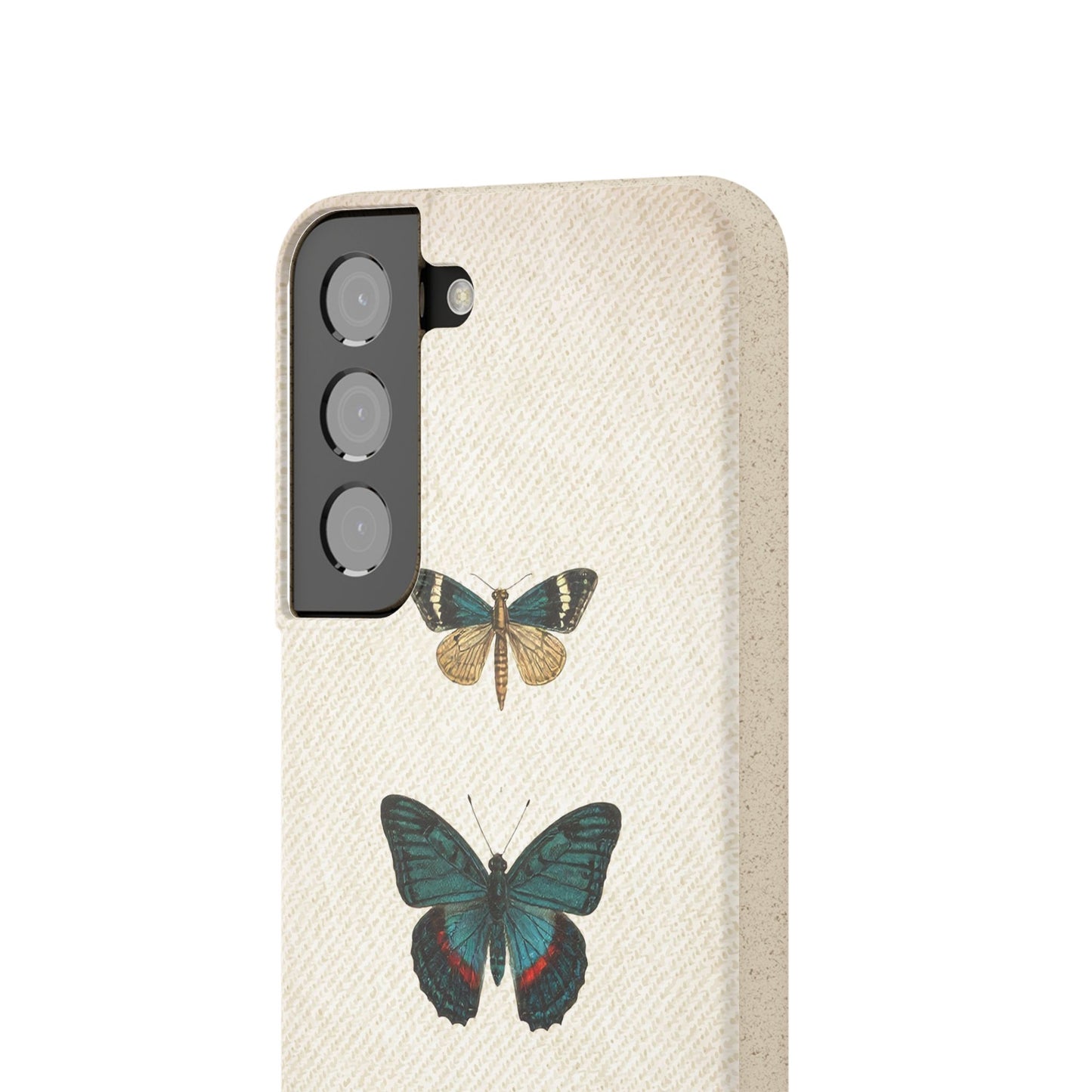 Butterfly | Biodegradable