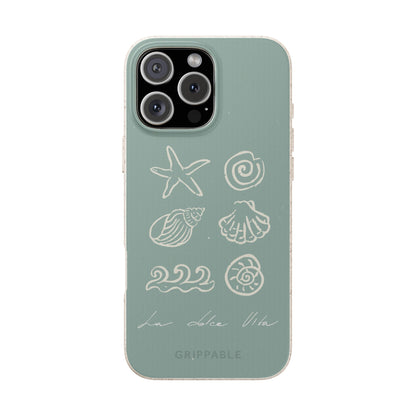 Sea Shell | Biodegradable