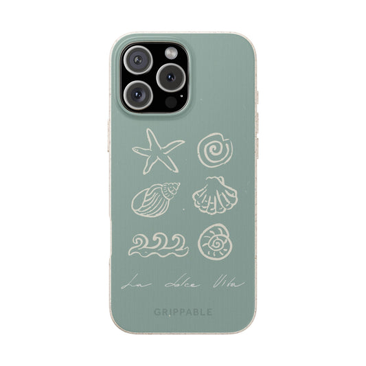 Sea Shell | Biodegradable