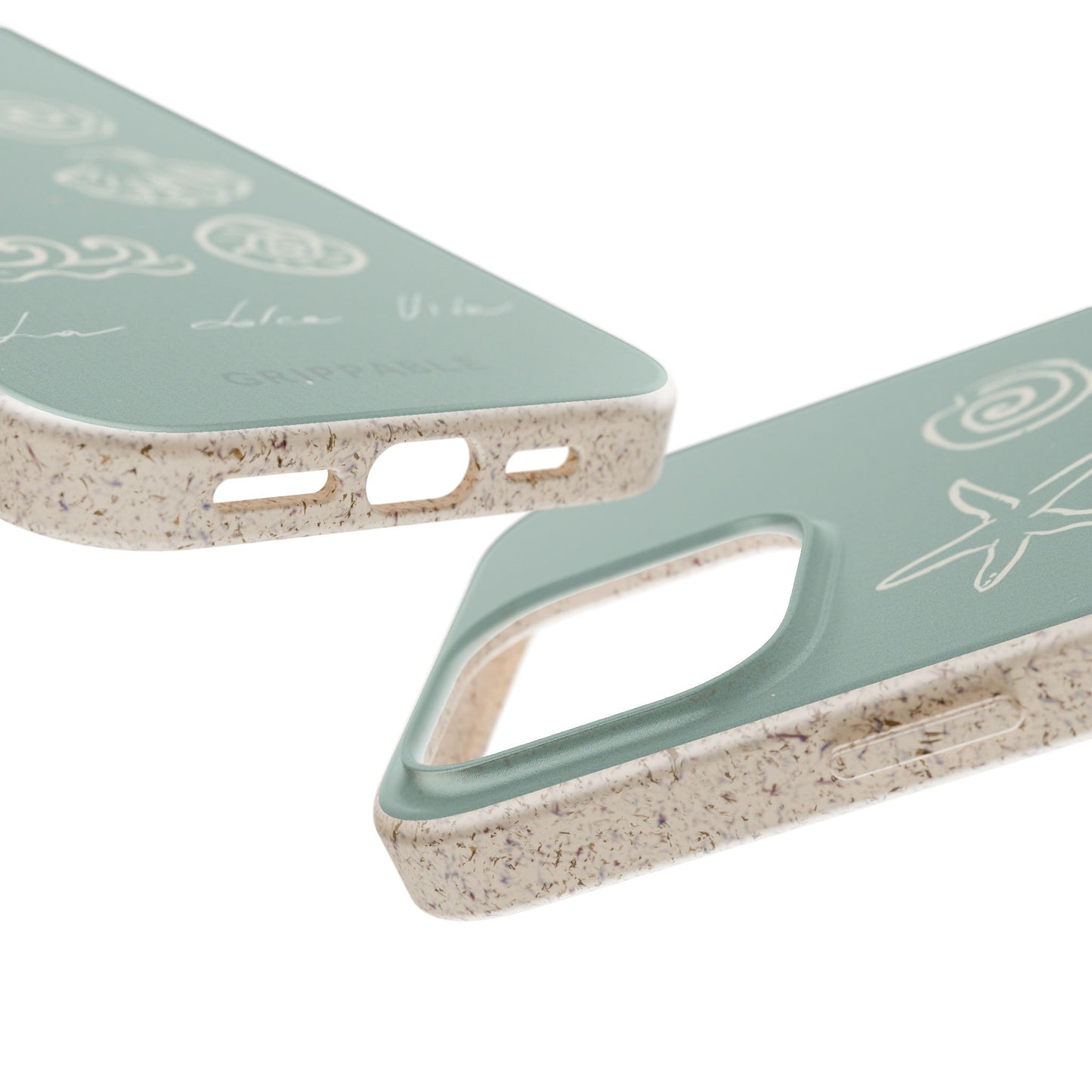 Sea Shell | Biodegradable