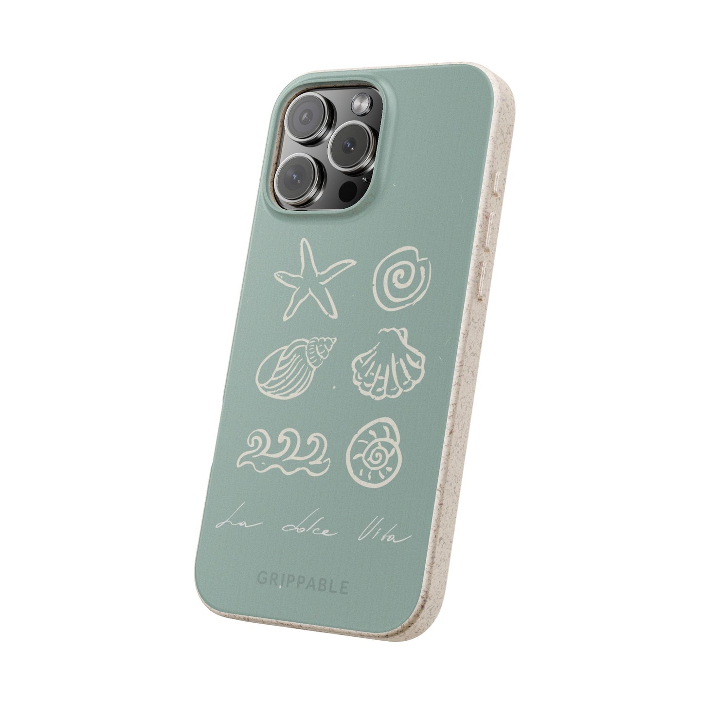 Sea Shell | Biodegradable