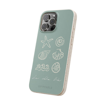 Sea Shell | Biodegradable