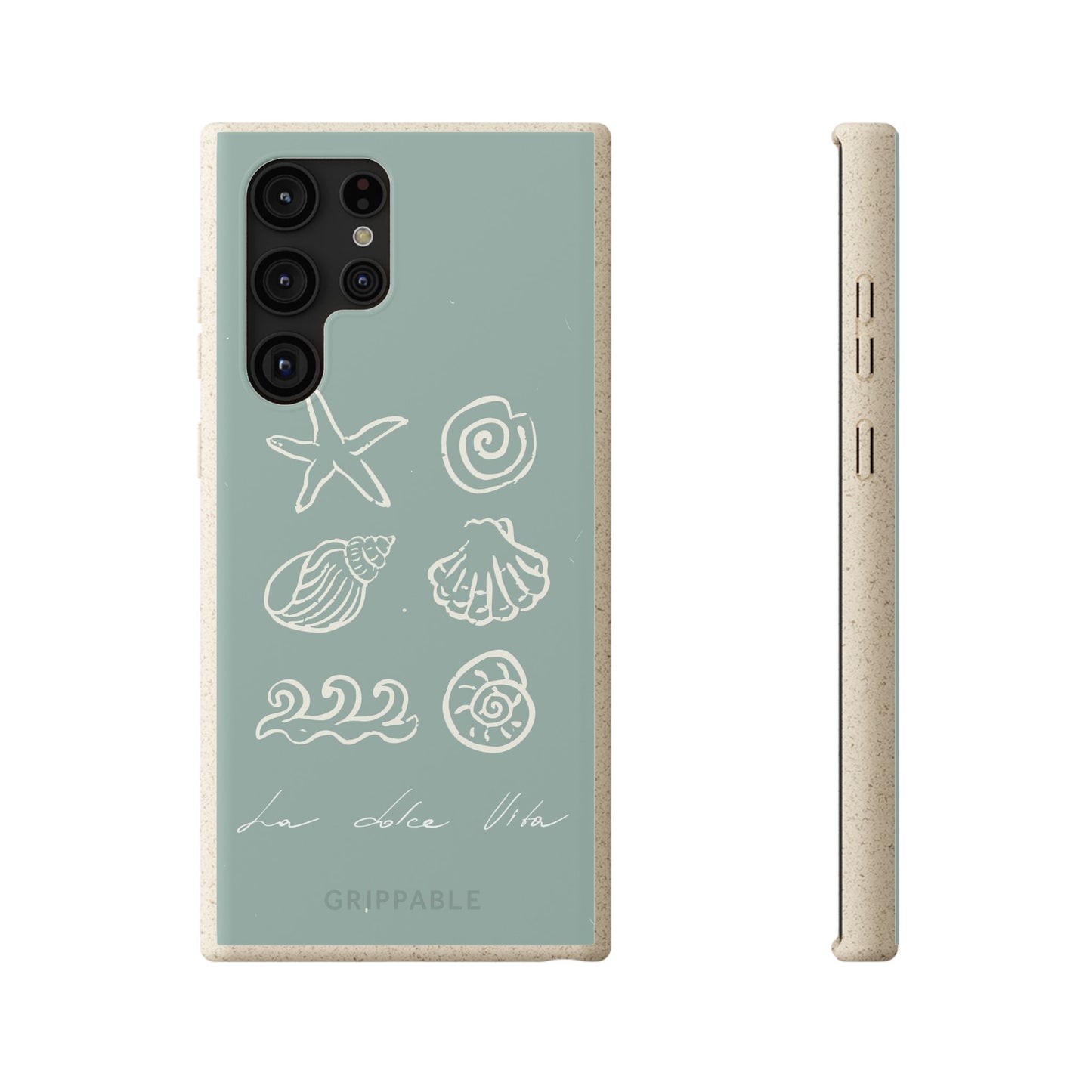 Sea Shell | Biodegradable