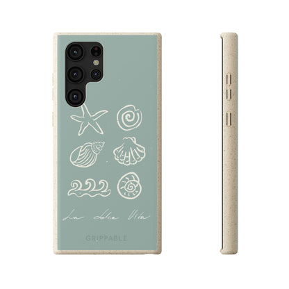 Sea Shell | Biodegradable