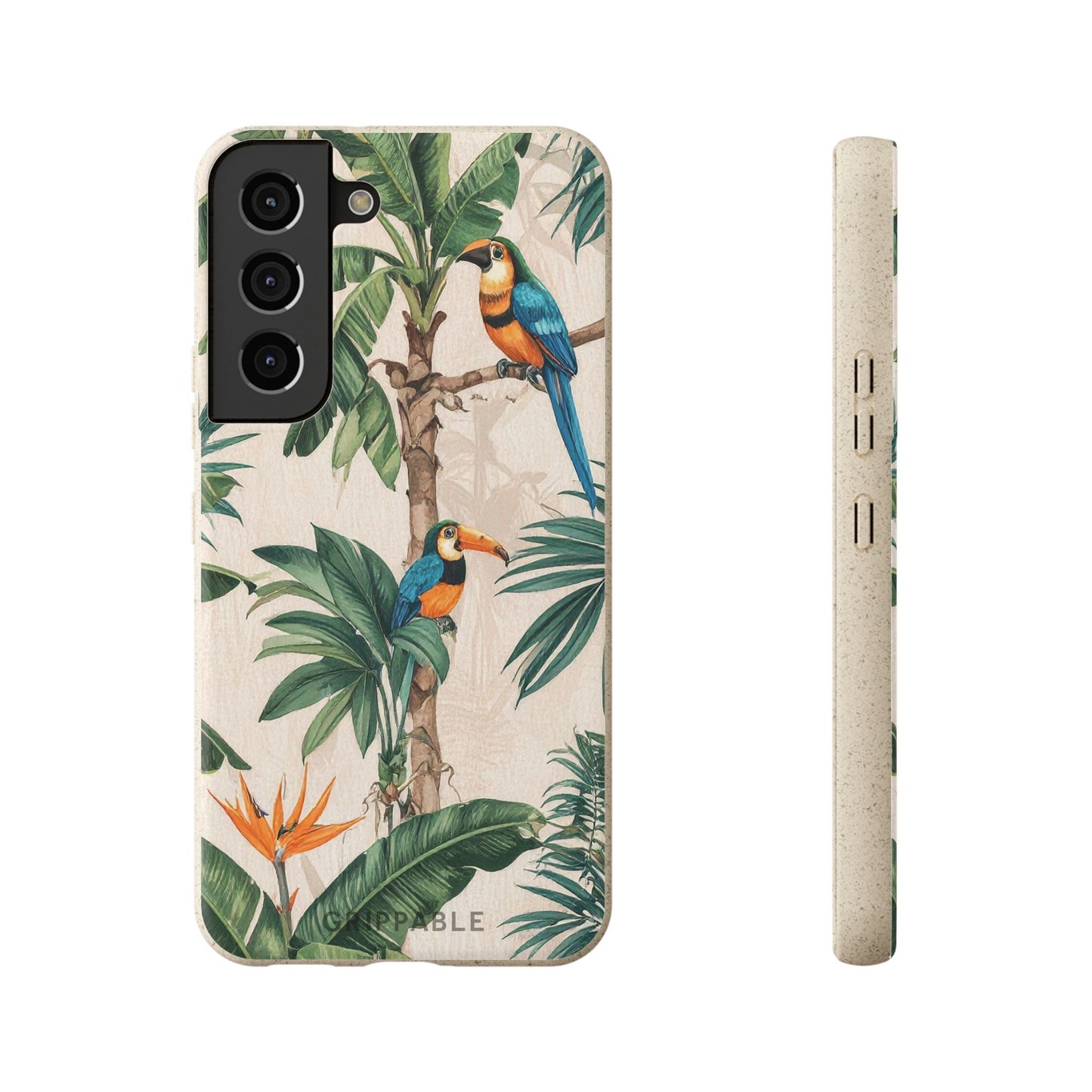 Parrots | Biodegradable