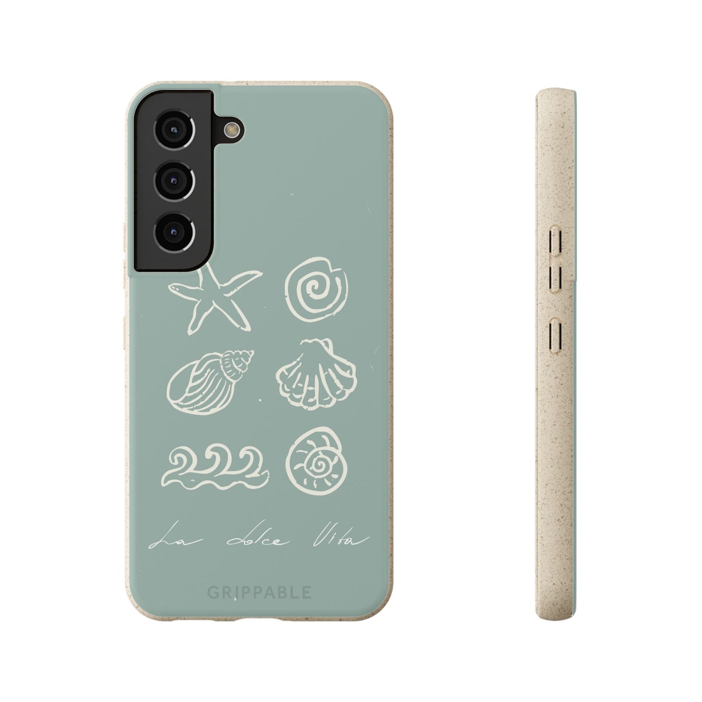Sea Shell | Biodegradable