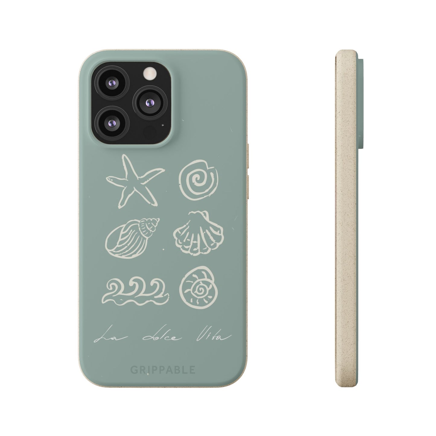 Sea Shell | Biodegradable