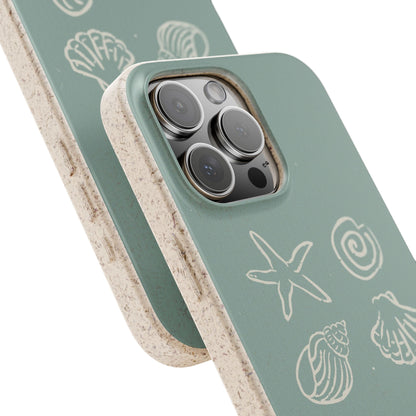 Sea Shell | Biodegradable