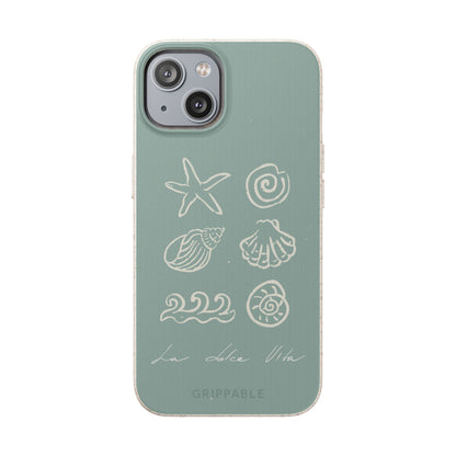 Sea Shell | Biodegradable
