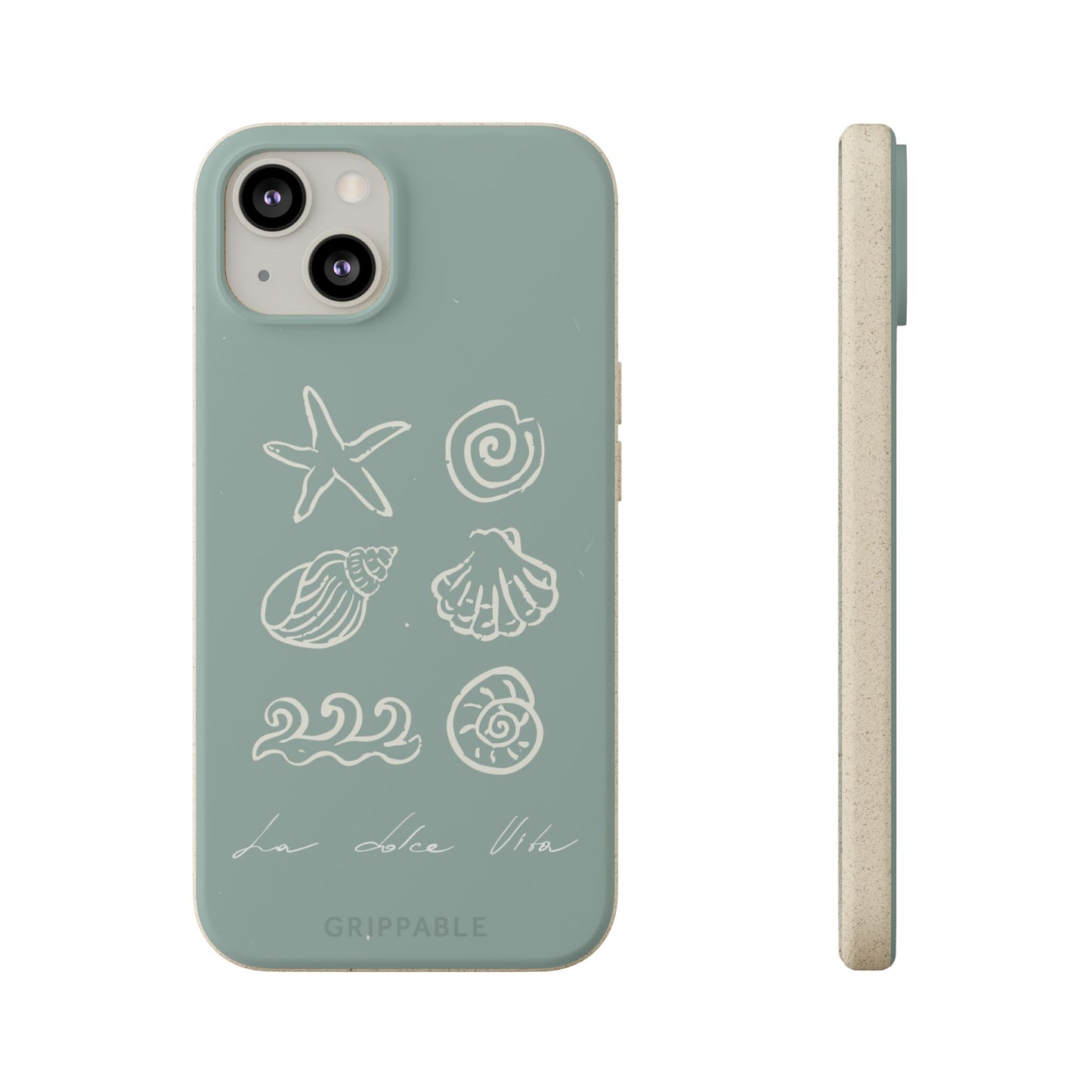 Sea Shell | Biodegradable