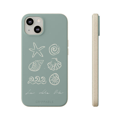 Sea Shell | Biodegradable