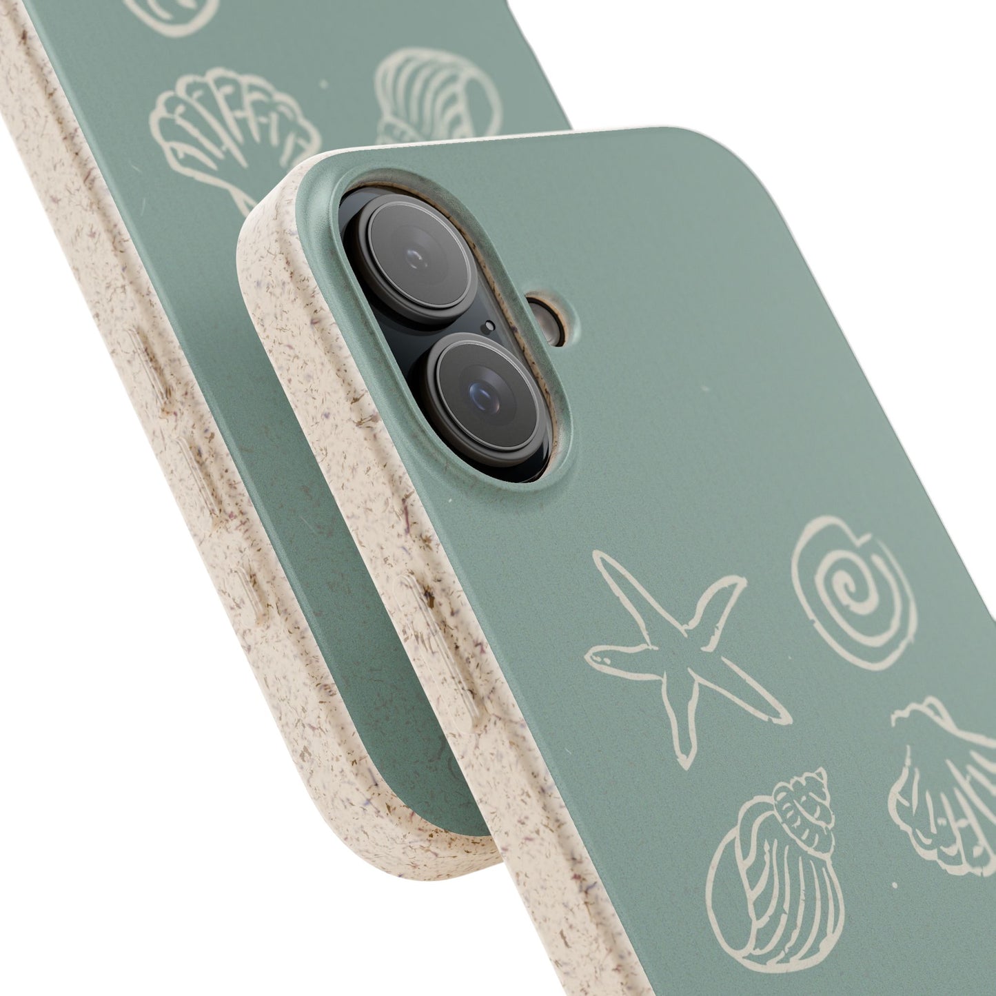 Sea Shell | Biodegradable