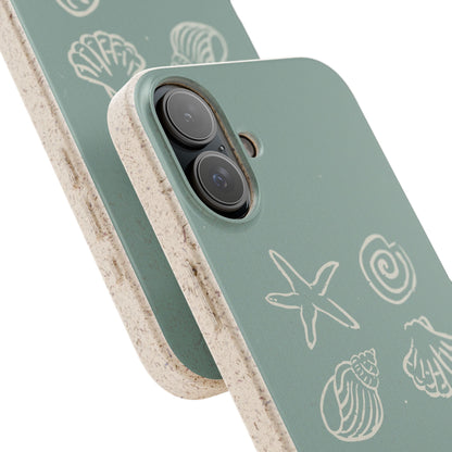 Sea Shell | Biodegradable