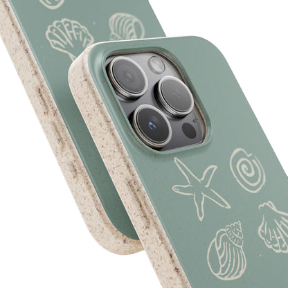 Sea Shell | Biodegradable