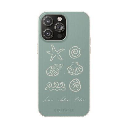 Sea Shell | Biodegradable