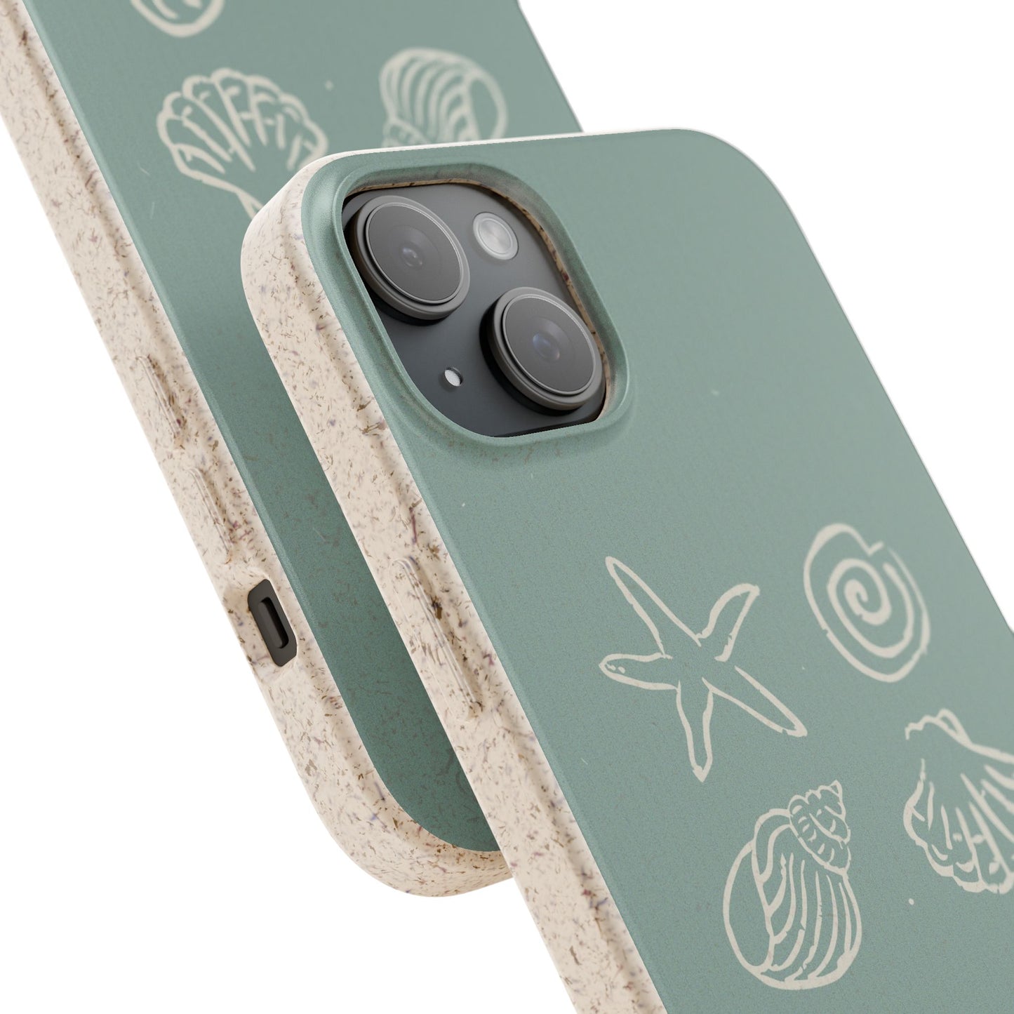 Sea Shell | Biodegradable