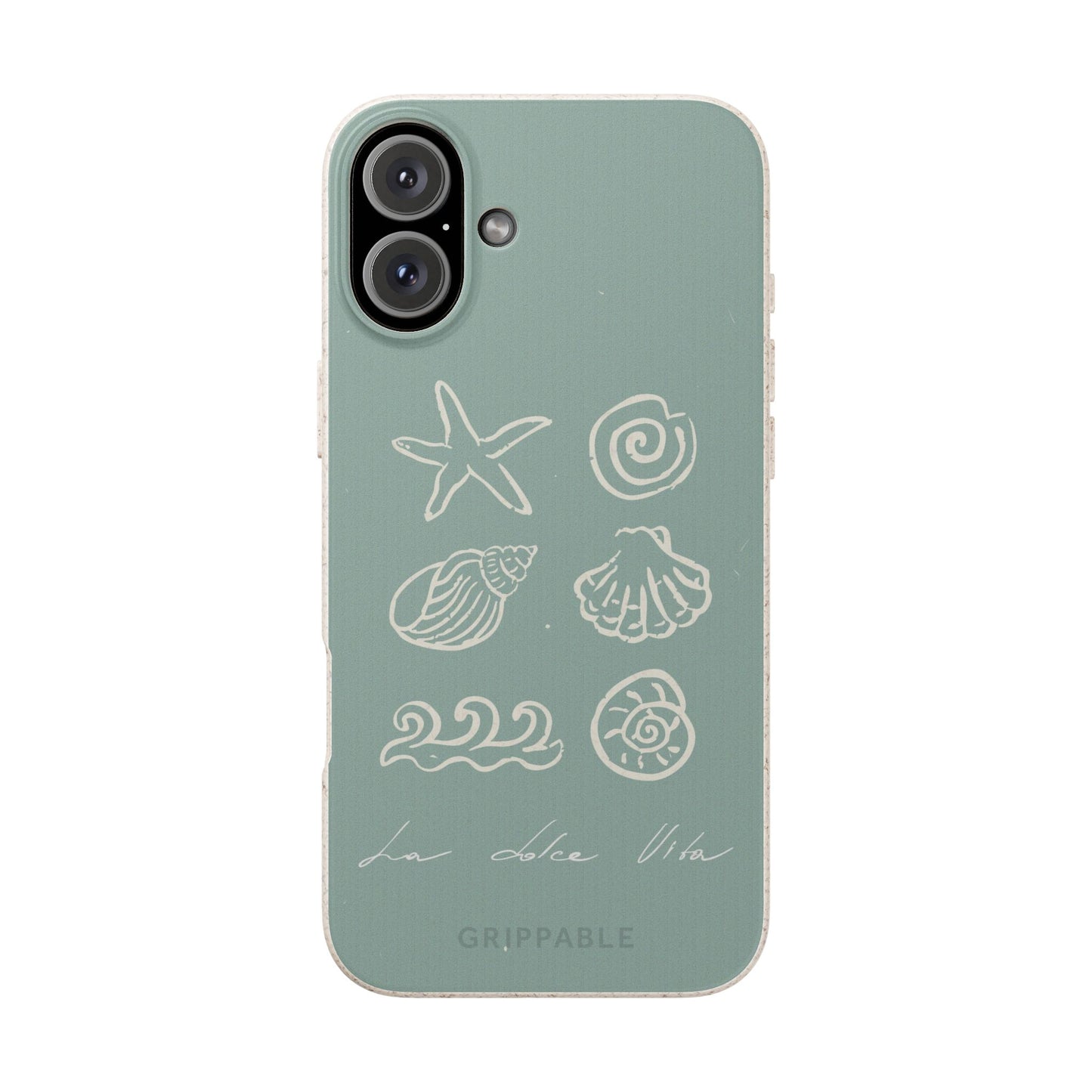 Sea Shell | Biodegradable