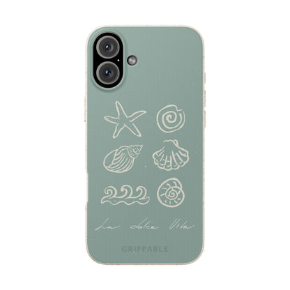 Sea Shell | Biodegradable