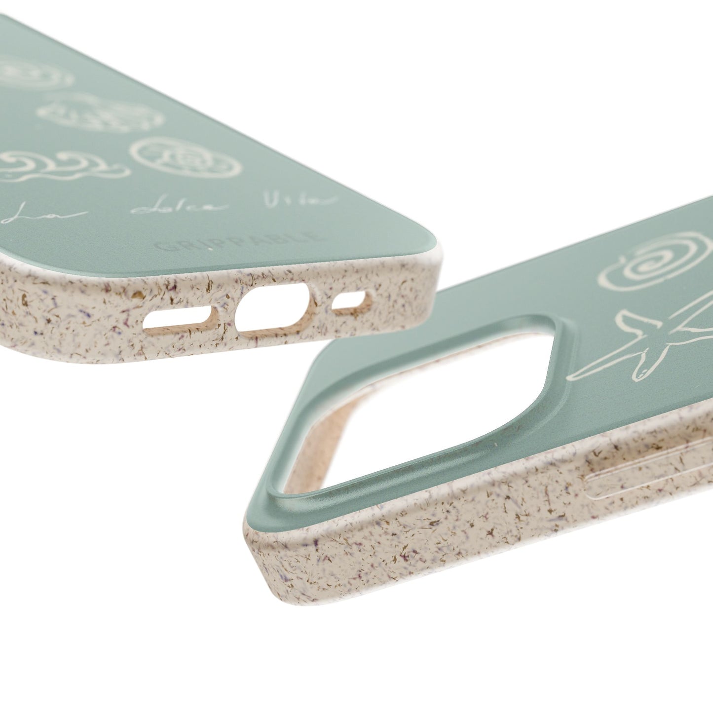 Sea Shell | Biodegradable
