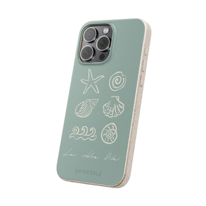 Sea Shell | Biodegradable