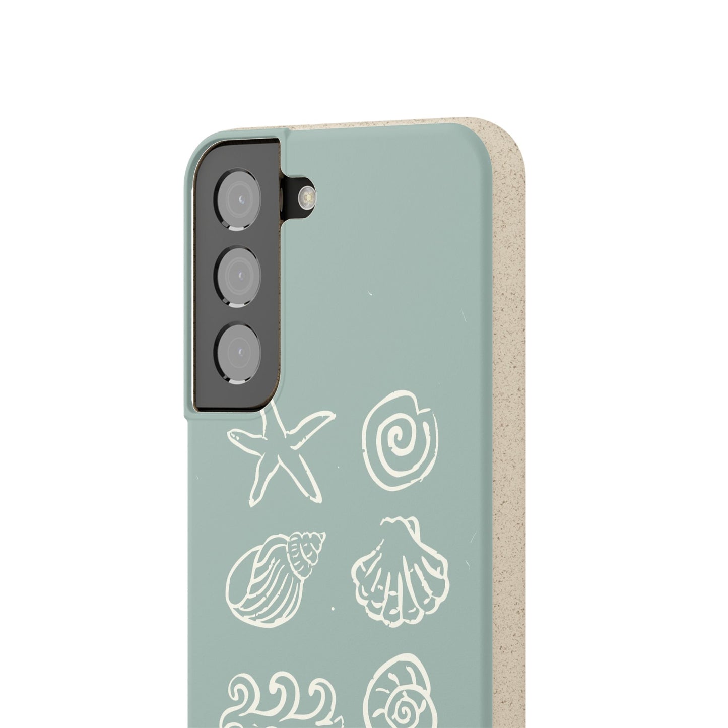 Sea Shell | Biodegradable