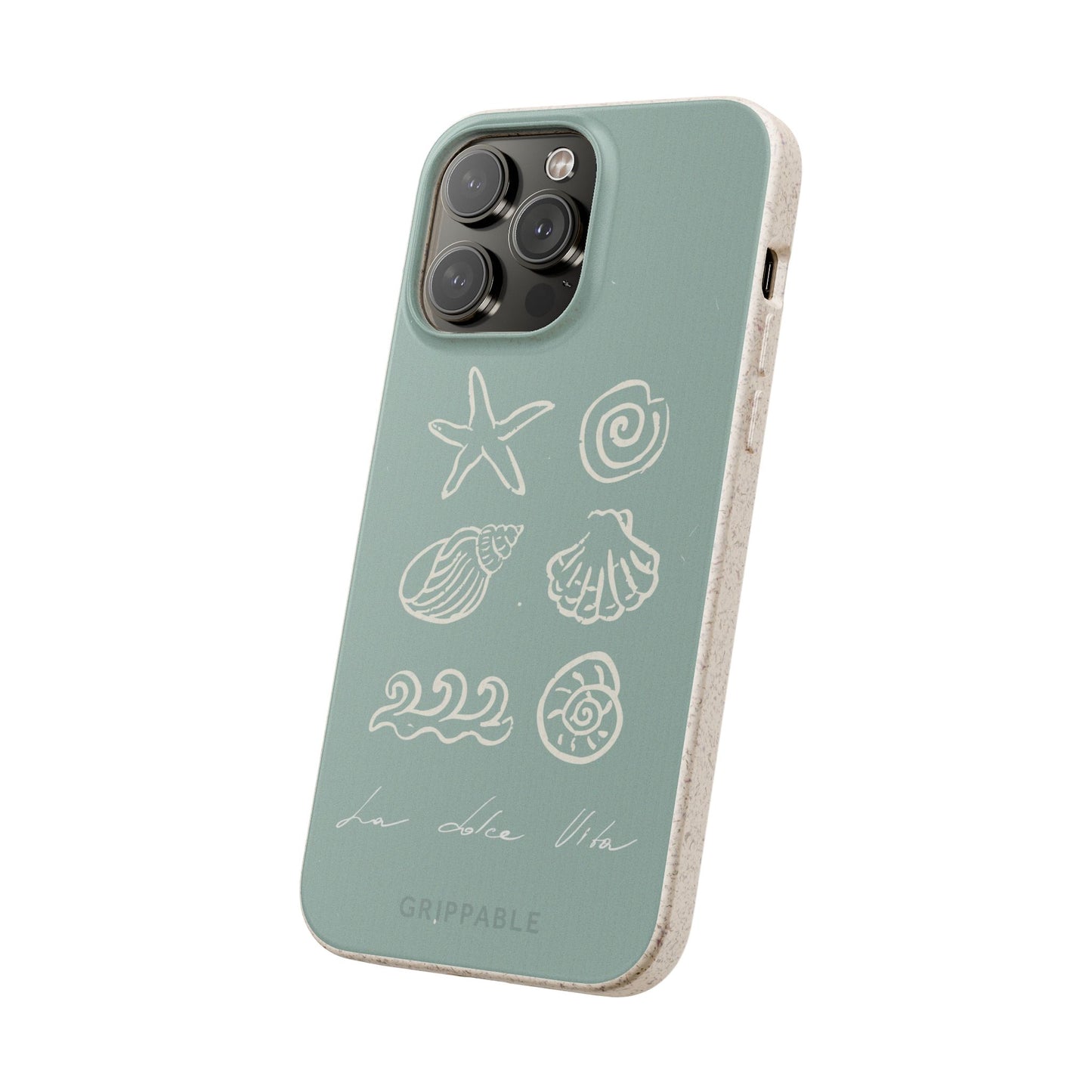 Sea Shell | Biodegradable