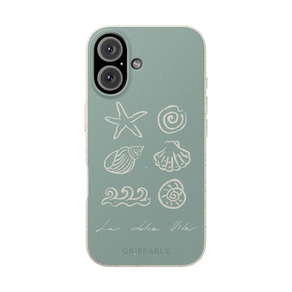 Sea Shell | Biodegradable