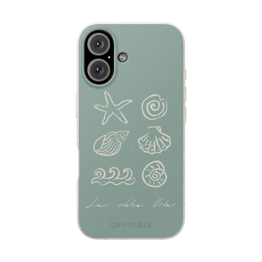 Sea Shell | Biodegradable