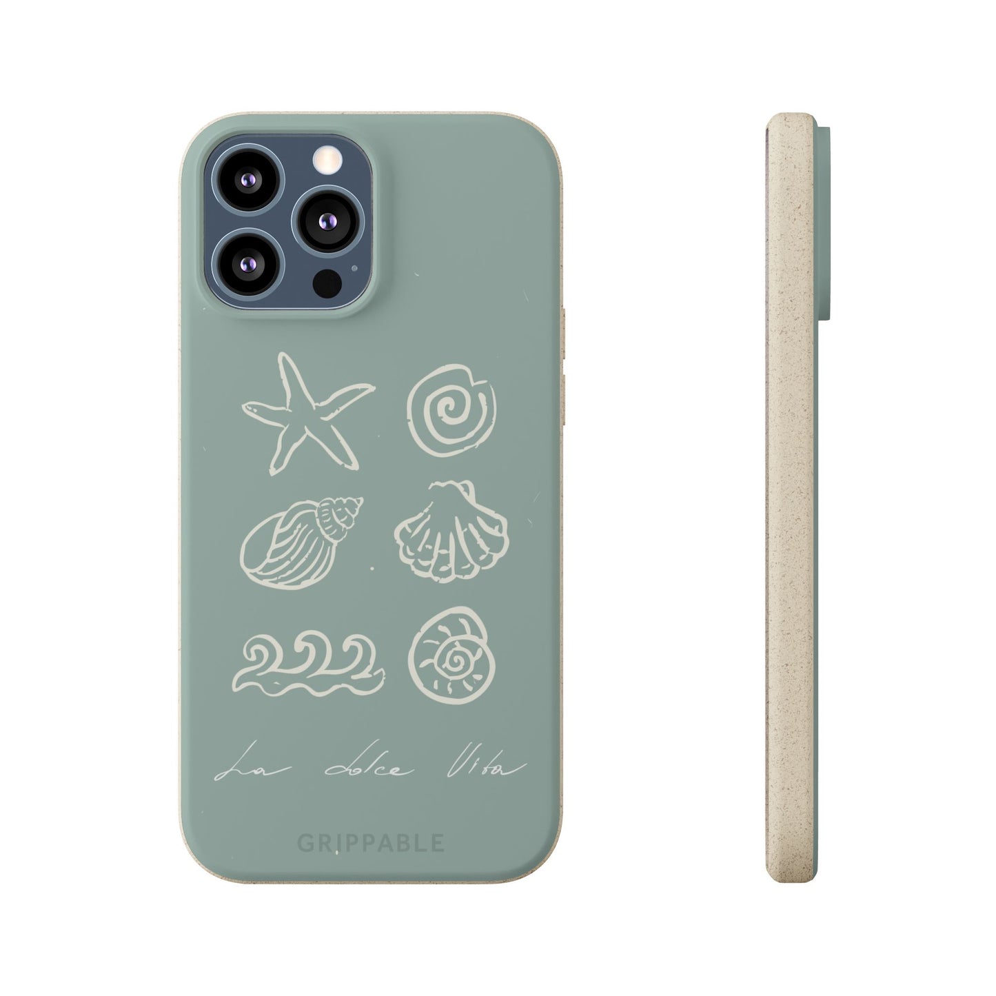 Sea Shell | Biodegradable